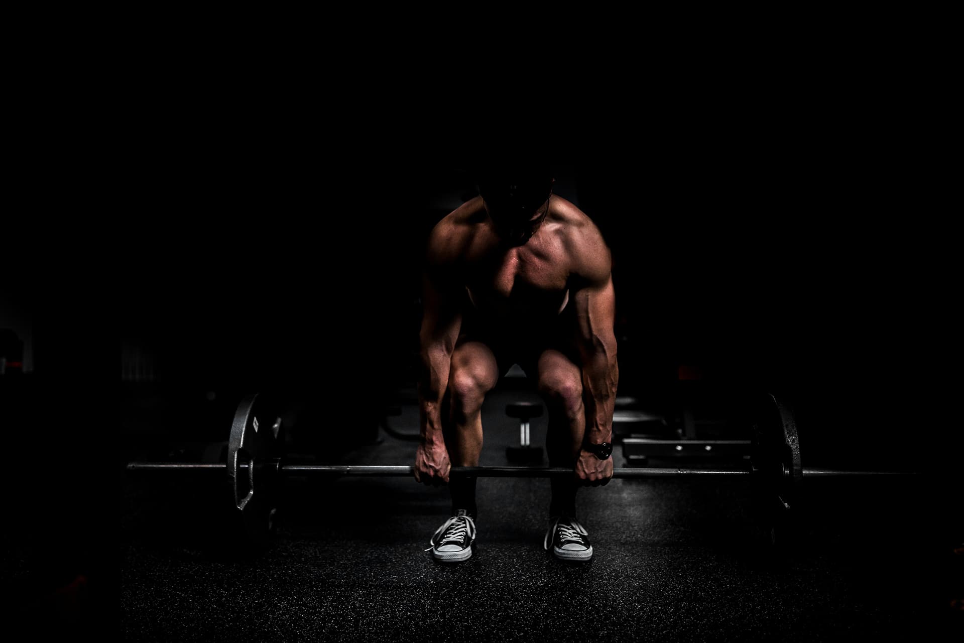 FanFitness Gym